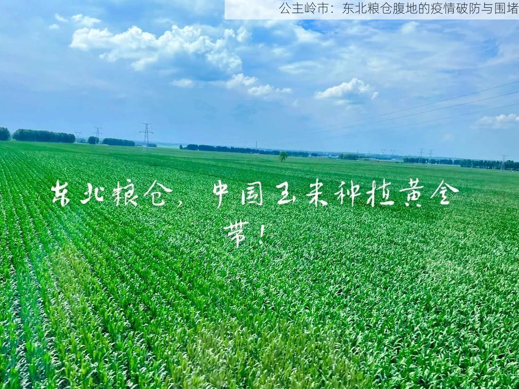 公主岭市：东北粮仓腹地的疫情破防与围堵