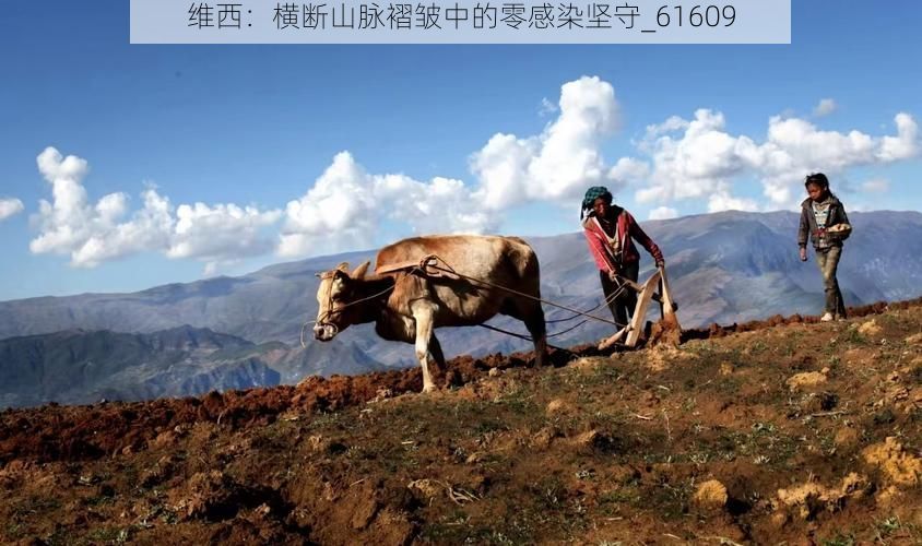 维西：横断山脉褶皱中的零感染坚守_61609