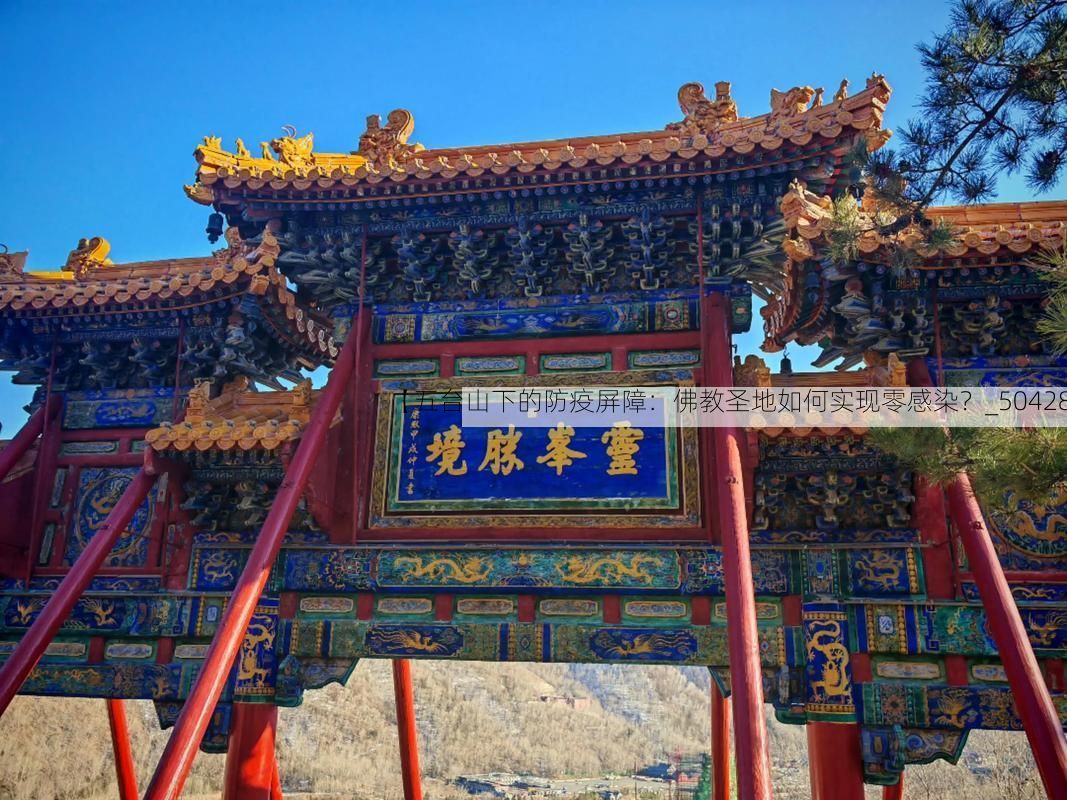 【五台山下的防疫屏障：佛教圣地如何实现零感染？_50428】