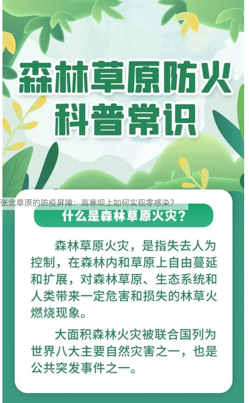 张北草原的防疫屏障：高寒坝上如何实现零感染？