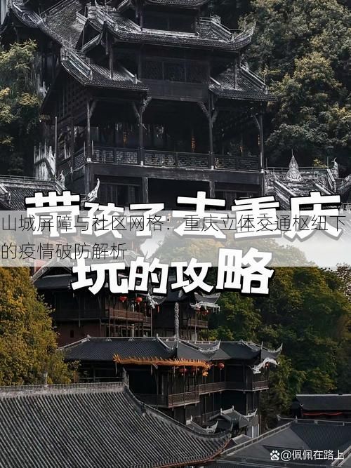 山城屏障与社区网格：重庆立体交通枢纽下的疫情破防解析