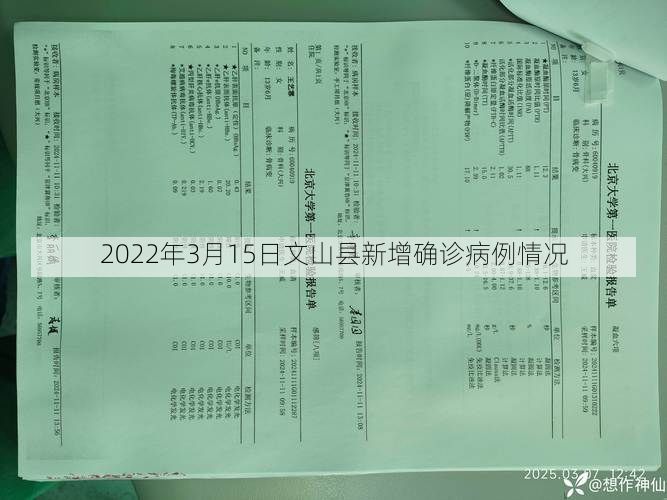 2022年3月15日文山县新增确诊病例情况