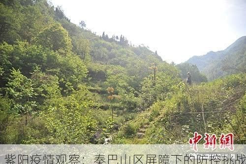 紫阳疫情观察：秦巴山区屏障下的防控挑战