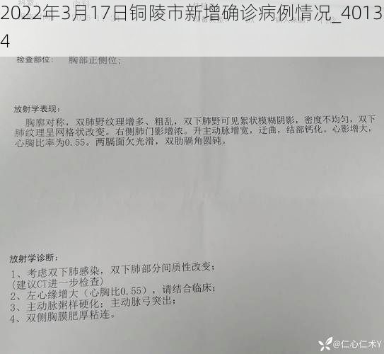 2022年3月17日铜陵市新增确诊病例情况_40134