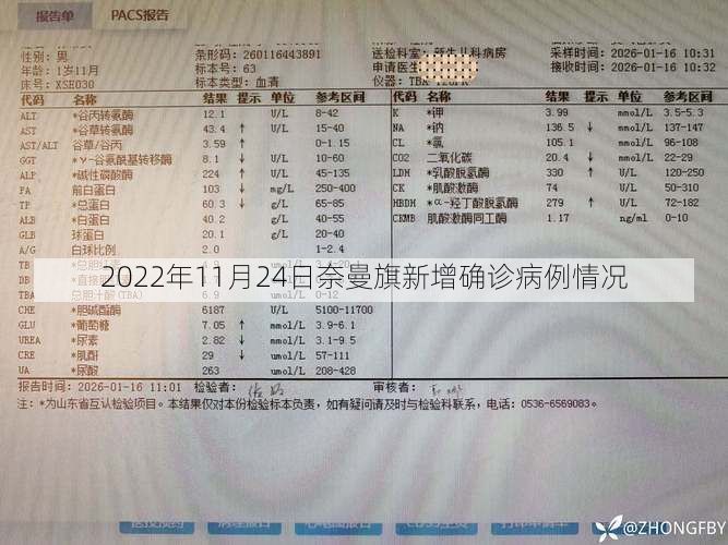2022年11月24日奈曼旗新增确诊病例情况