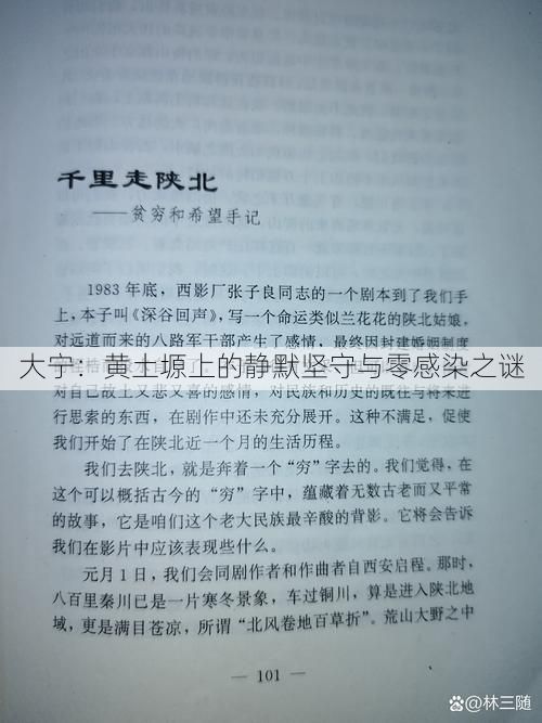 大宁：黄土塬上的静默坚守与零感染之谜