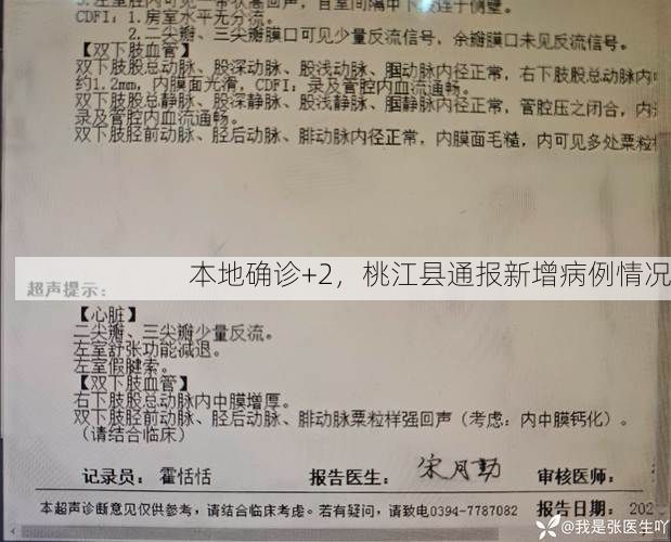 本地确诊+2，桃江县通报新增病例情况