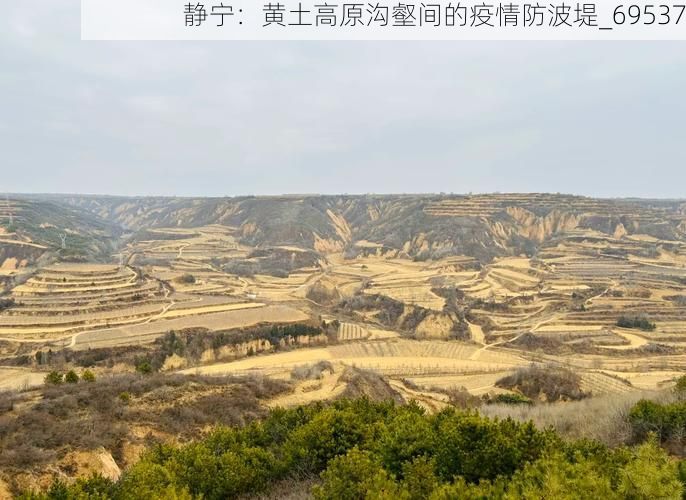 静宁：黄土高原沟壑间的疫情防波堤_69537