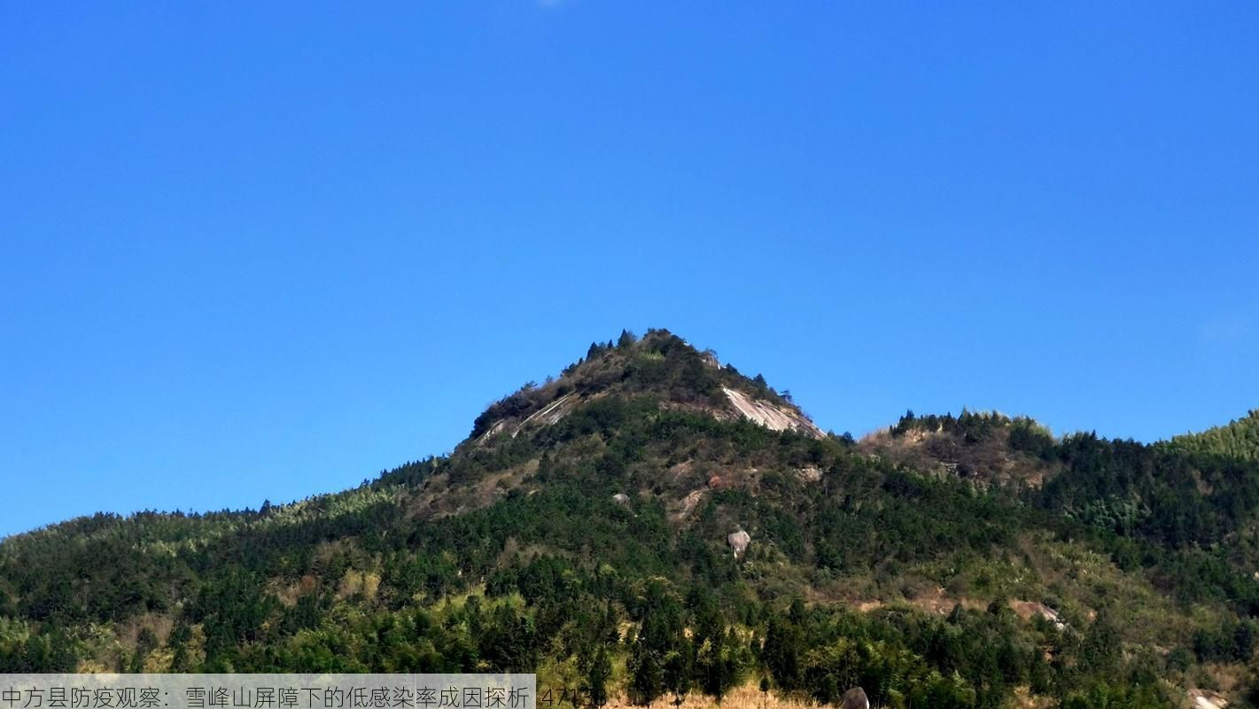 中方县防疫观察：雪峰山屏障下的低感染率成因探析_47138