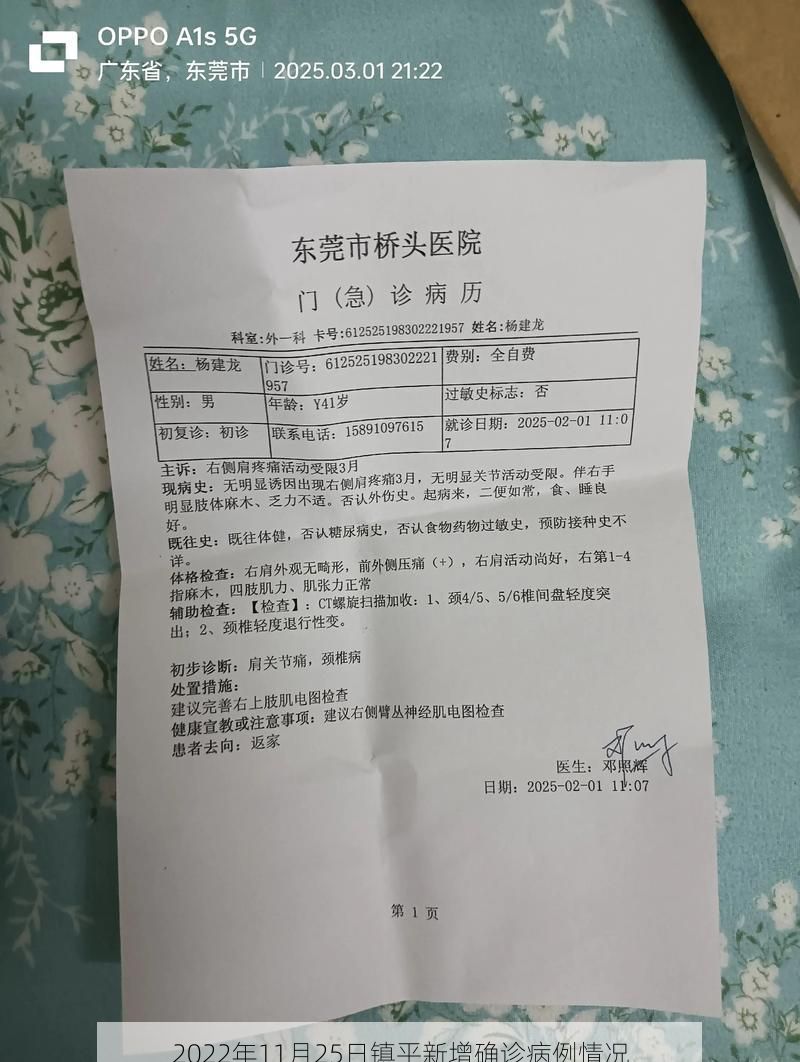 2022年11月25日镇平新增确诊病例情况