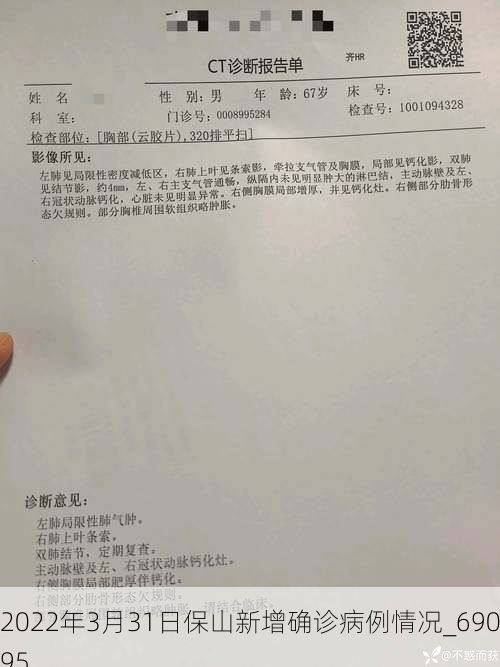 2022年3月31日保山新增确诊病例情况_69095