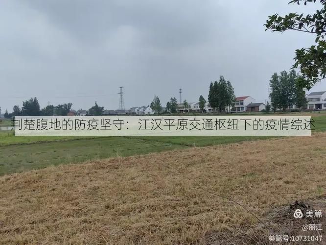 荆楚腹地的防疫坚守：江汉平原交通枢纽下的疫情综述