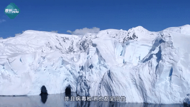 濠江防线：半岛地理优势下的零感染坚守