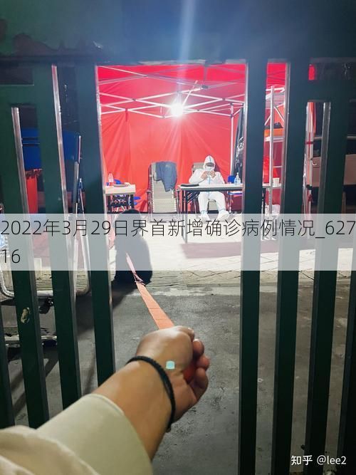 2022年3月29日界首新增确诊病例情况_62716