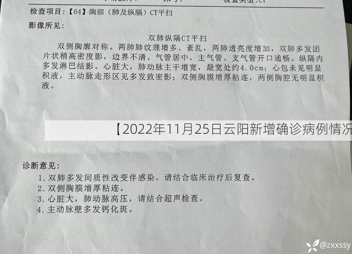 【2022年11月25日云阳新增确诊病例情况】
