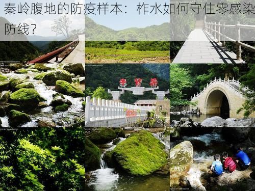 秦岭腹地的防疫样本：柞水如何守住零感染防线？