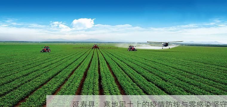 延寿县：寒地黑土上的疫情防线与零感染坚守