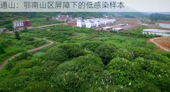 通山：鄂南山区屏障下的低感染样本