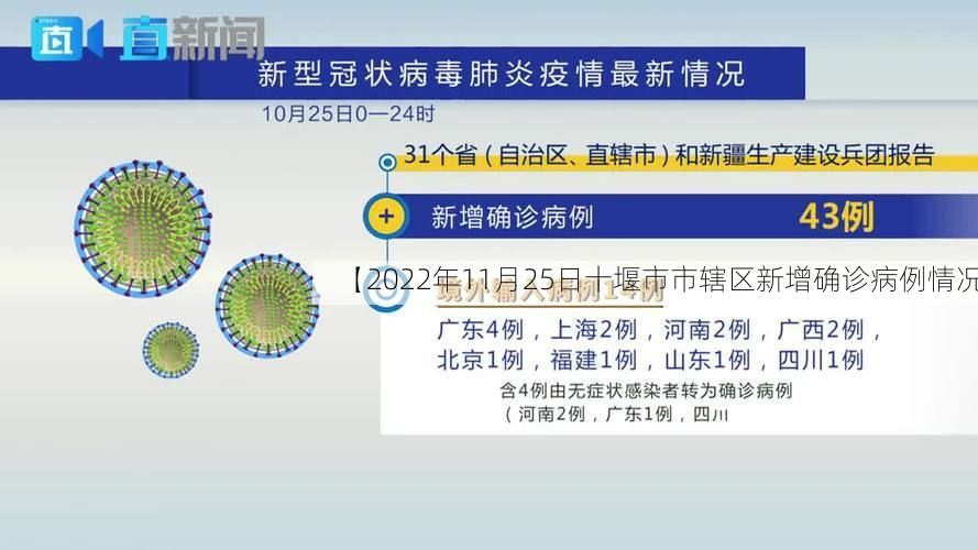 【2022年11月25日十堰市市辖区新增确诊病例情况】