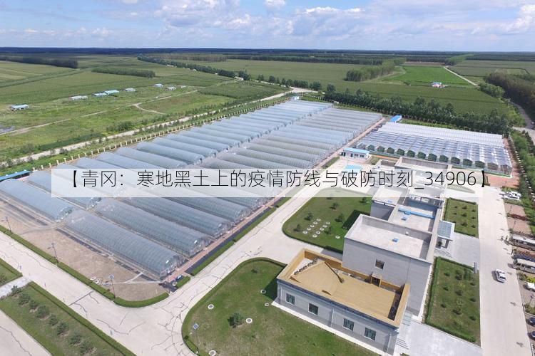 【青冈：寒地黑土上的疫情防线与破防时刻_34906】
