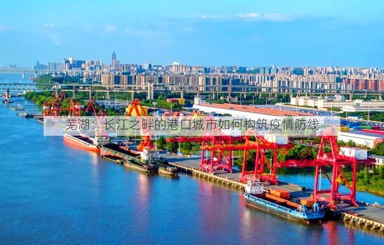 芜湖：长江之畔的港口城市如何构筑疫情防线