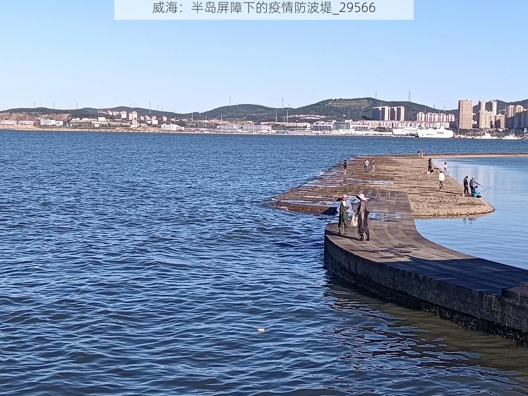 威海：半岛屏障下的疫情防波堤_29566