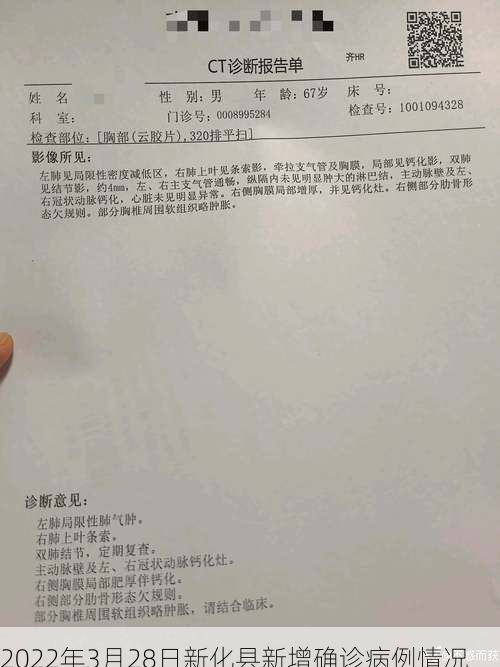 2022年3月28日新化县新增确诊病例情况