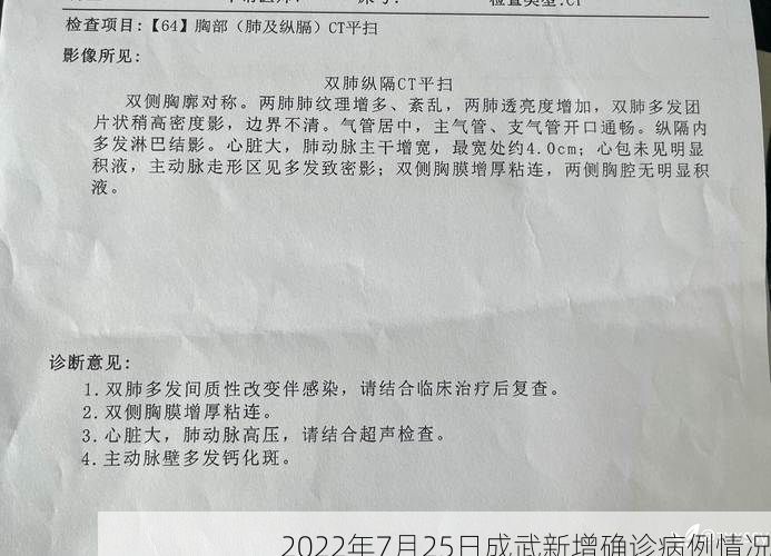 2022年7月25日成武新增确诊病例情况