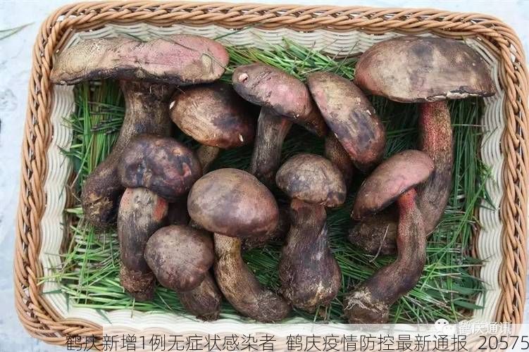 鹤庆新增1例无症状感染者  鹤庆疫情防控最新通报_20575