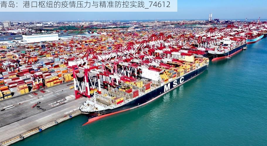 青岛：港口枢纽的疫情压力与精准防控实践_74612