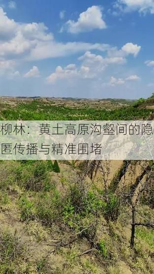 柳林：黄土高原沟壑间的隐匿传播与精准围堵