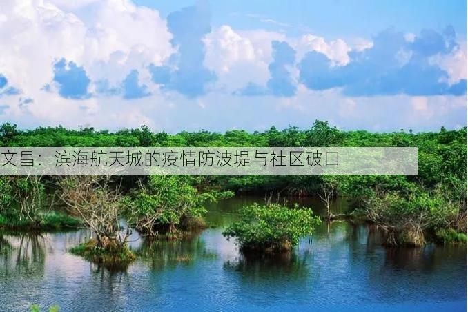 文昌：滨海航天城的疫情防波堤与社区破口