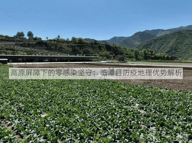 高原屏障下的零感染坚守：临潭县防疫地理优势解析