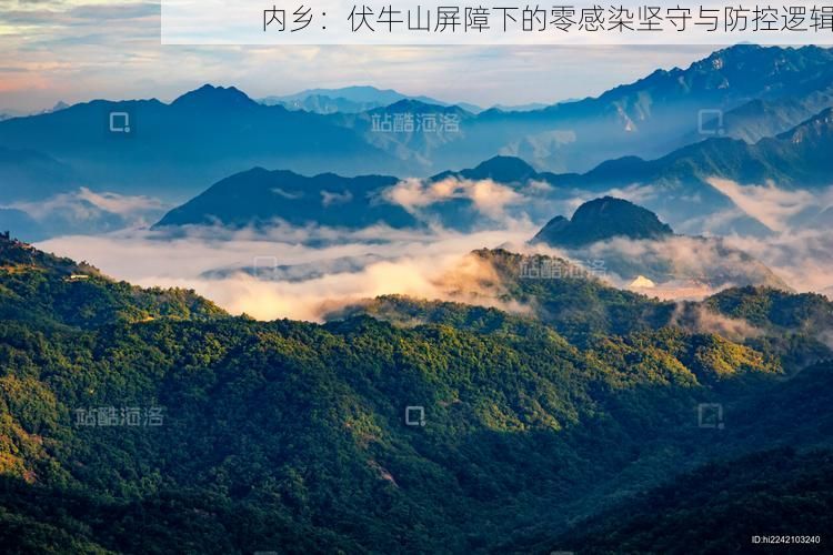 内乡：伏牛山屏障下的零感染坚守与防控逻辑