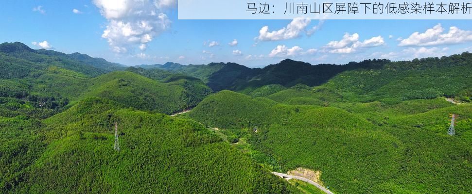 马边：川南山区屏障下的低感染样本解析