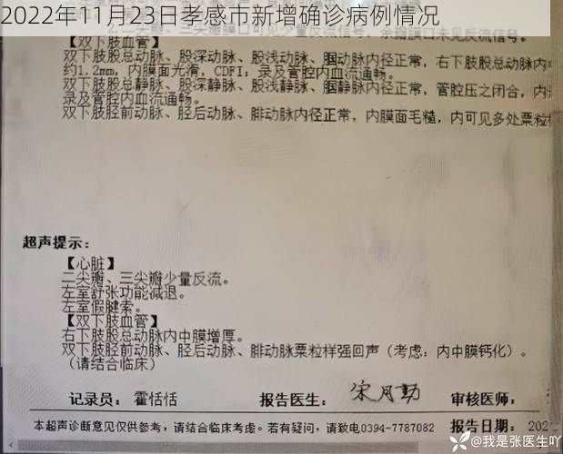 2022年11月23日孝感市新增确诊病例情况