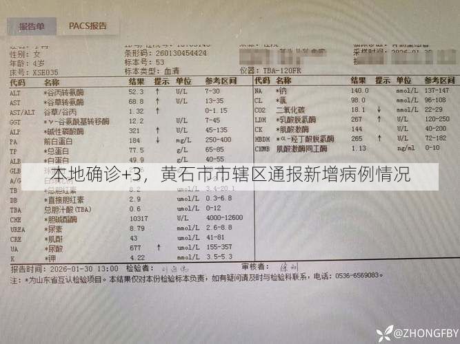 本地确诊+3，黄石市市辖区通报新增病例情况