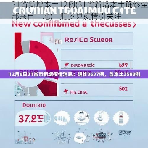31省新增本土12例(31省新增本土确诊全部来自一地)，肥乡县疫情引关注