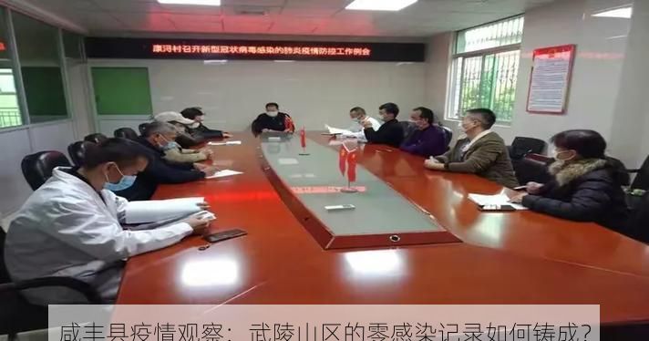 咸丰县疫情观察：武陵山区的零感染记录如何铸成？