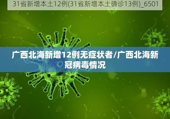 31省新增本土12例(31省新增本土确诊13例)_6501