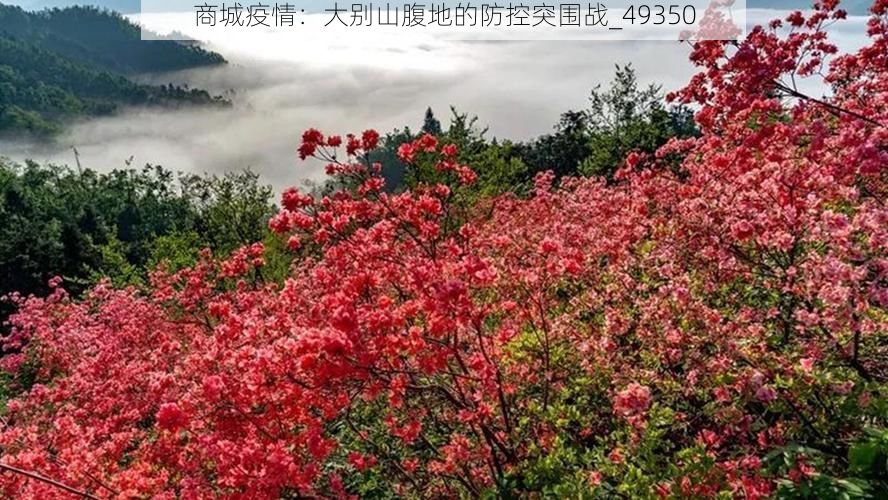 商城疫情：大别山腹地的防控突围战_49350