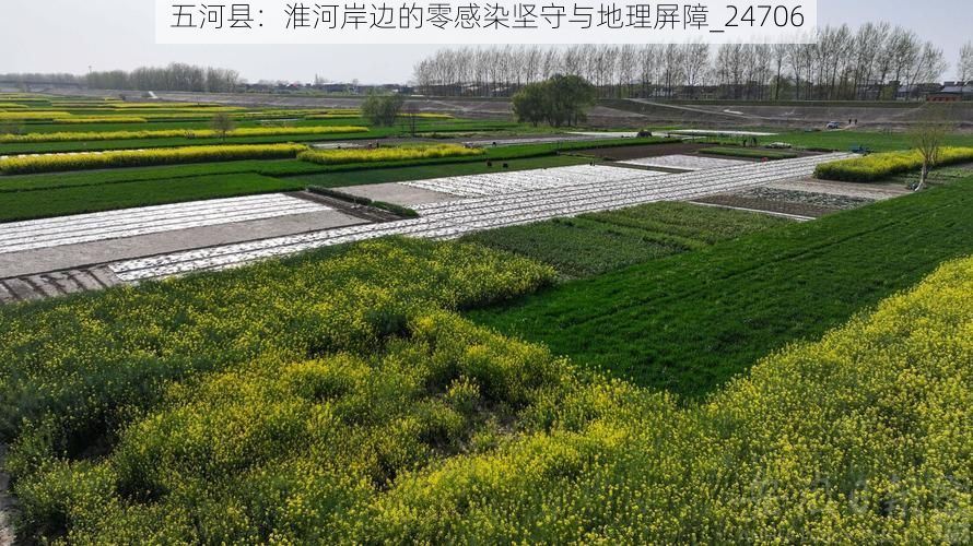 五河县：淮河岸边的零感染坚守与地理屏障_24706