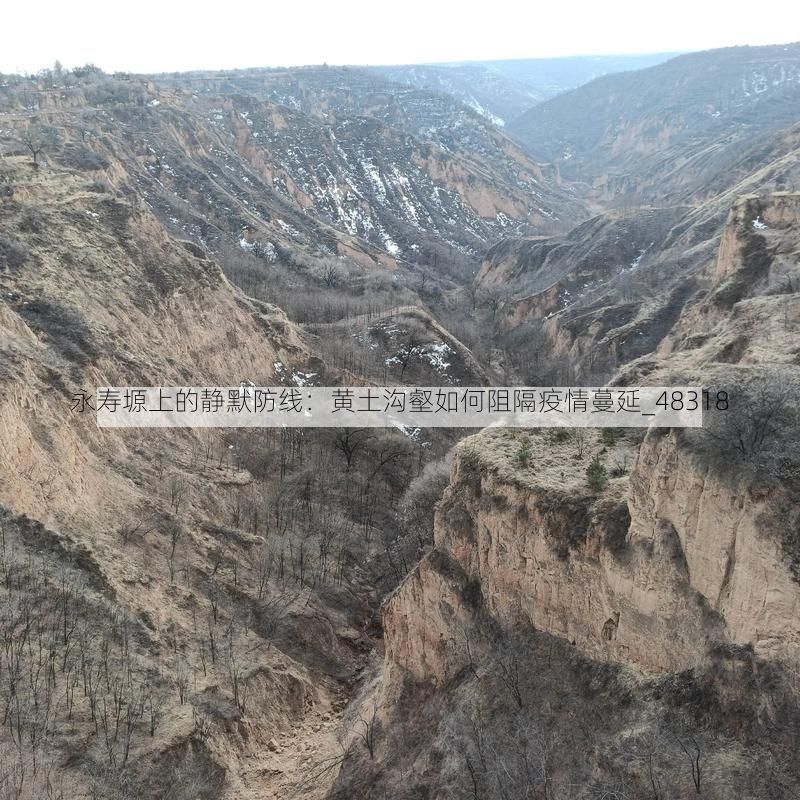 永寿塬上的静默防线：黄土沟壑如何阻隔疫情蔓延_48318