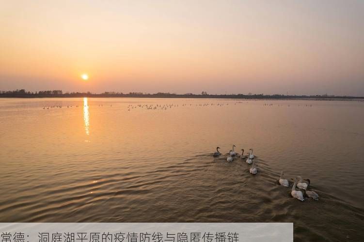 常德：洞庭湖平原的疫情防线与隐匿传播链
