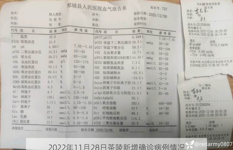 2022年11月28日茶陵新增确诊病例情况