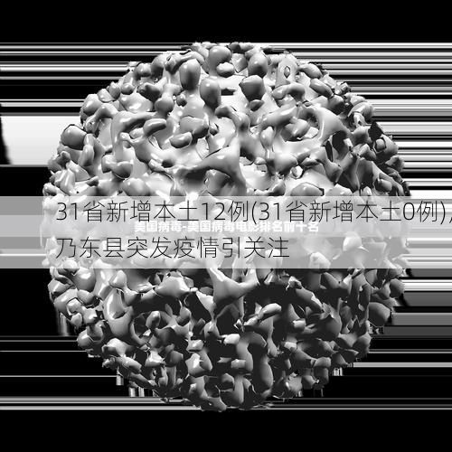 31省新增本土12例(31省新增本土0例)，乃东县突发疫情引关注