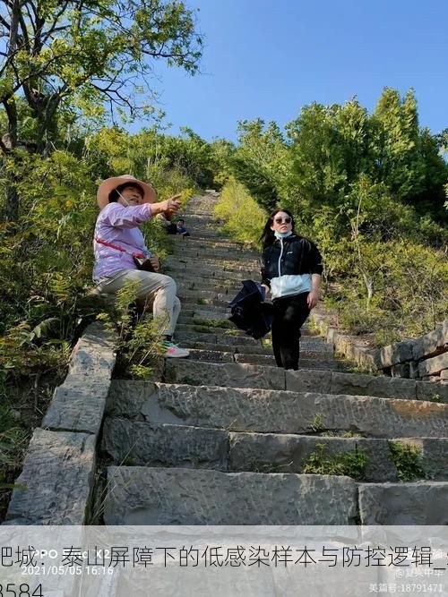 肥城：泰山屏障下的低感染样本与防控逻辑_58584