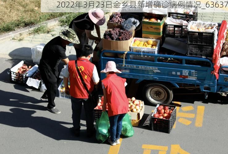 2022年3月23日金乡县新增确诊病例情况_63637