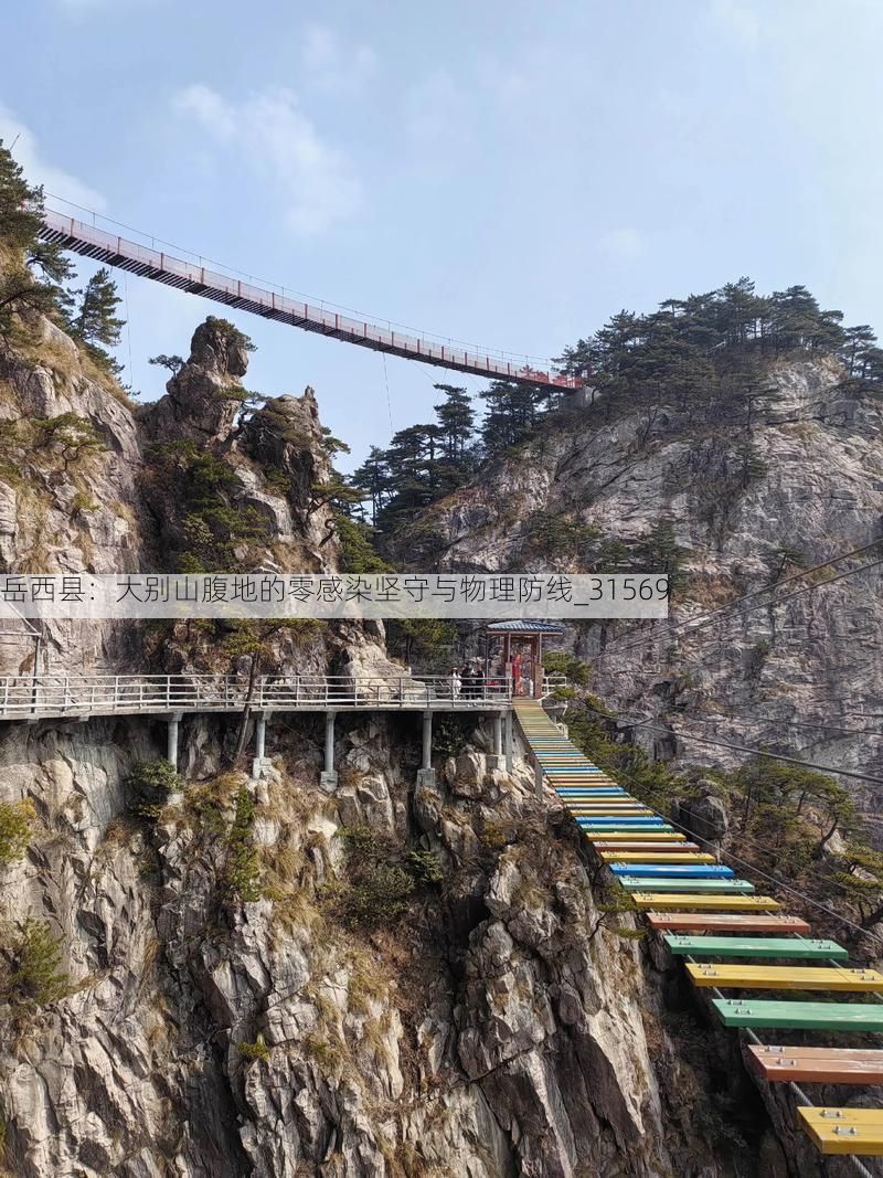 岳西县：大别山腹地的零感染坚守与物理防线_31569