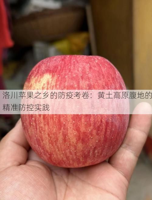 洛川苹果之乡的防疫考卷：黄土高原腹地的精准防控实践